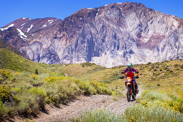 2025 KTM 390 Enduro R Review